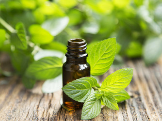 Mint Toner