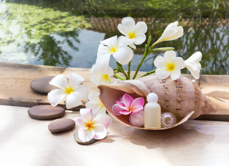 Private Label Vanilla Deodorant, Contract Manufacturing Vanilla Deodorant, Vanilla Deodorant Contract Manufacturer, Vanilla Deodorant OEM, Vanilla Deodorant Custom 