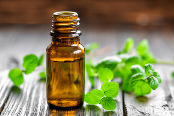 Menthol Massage Oil