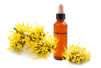 Witch Hazel Toner